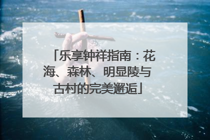 乐享钟祥指南：花海、森林、明显陵与古村的完美邂逅
