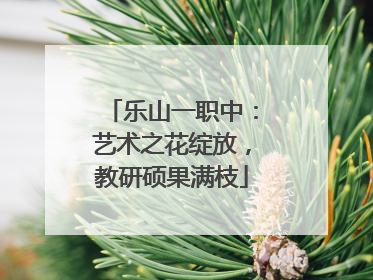 乐山一职中：艺术之花绽放，教研硕果满枝