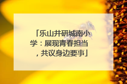乐山井研城南小学：展现青春担当，共议身边要事