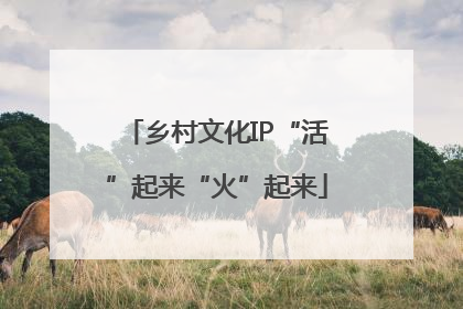 乡村文化IP“活”起来“火”起来