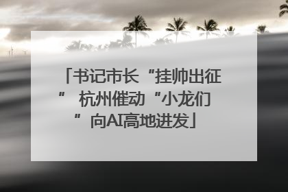 书记市长“挂帅出征” 杭州催动“小龙们”向AI高地进发