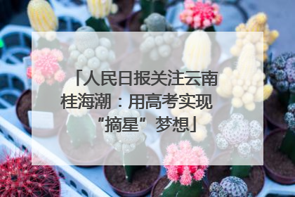 人民日报关注云南桂海潮：用高考实现“摘星”梦想