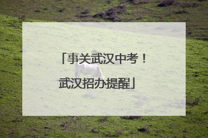 事关武汉中考！武汉招办提醒