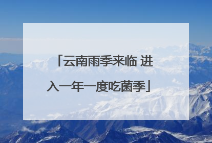 云南雨季来临 进入一年一度吃菌季