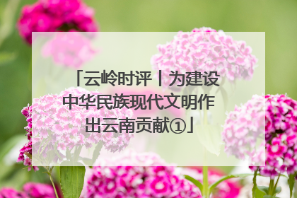 云岭时评丨为建设中华民族现代文明作出云南贡献①