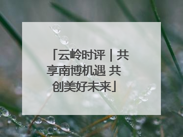 云岭时评｜共享南博机遇 共创美好未来