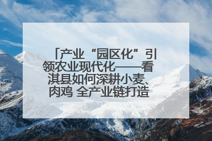 产业“园区化”引领农业现代化——看淇县如何深耕小麦、肉鸡 全产业链打造现代农业产业园