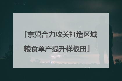 京冀合力攻关打造区域粮食单产提升样板田