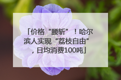 价格“腰斩”！哈尔滨人实现“荔枝自由”，日均消费100吨