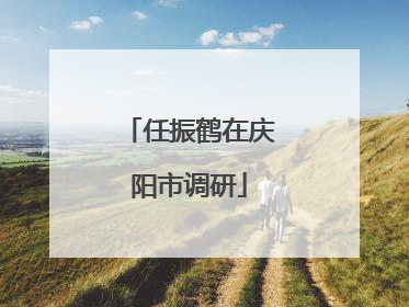 任振鹤在庆阳市调研