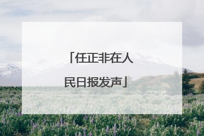 任正非在人民日报发声