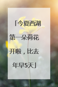 今夏西湖第一朵荷花开啦，比去年早5天