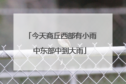 今天商丘西部有小雨 中东部中到大雨