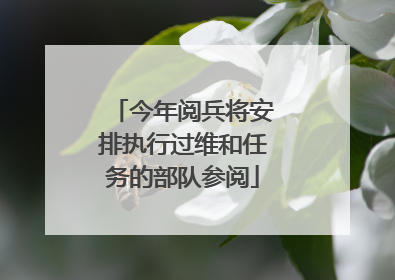 今年阅兵将安排执行过维和任务的部队参阅