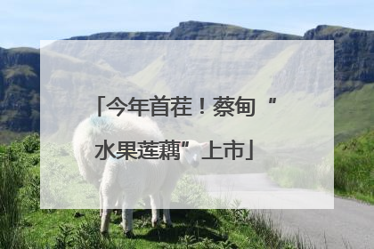 今年首茬！蔡甸“水果莲藕”上市