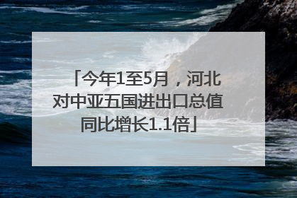 今年1至5月，河北对中亚五国进出口总值同比增长1.1倍