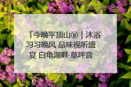 今晚平顶山⑧｜沐浴习习晚风 品味视听盛宴 白龟湖畔·草坪音乐会激情上演