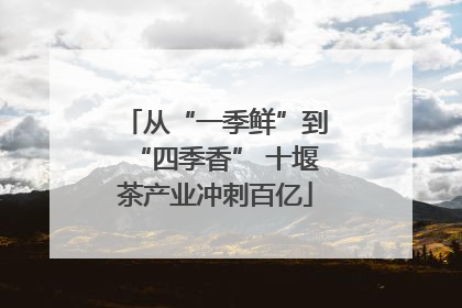 从“一季鲜”到“四季香” 十堰茶产业冲刺百亿