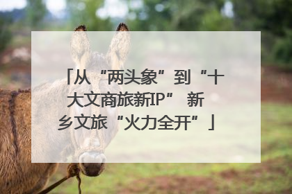 从“两头象”到“十大文商旅新IP” 新乡文旅“火力全开”