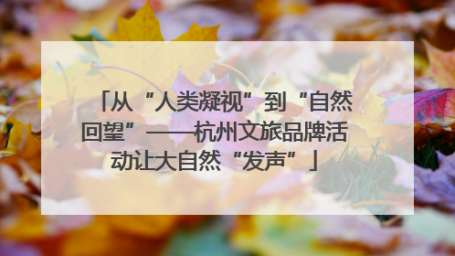 从“人类凝视”到“自然回望”——杭州文旅品牌活动让大自然“发声”