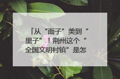 从“面子”美到“里子”！荆州这个“全国文明村镇”是怎样炼成的？