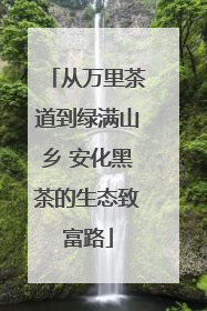 从万里茶道到绿满山乡 安化黑茶的生态致富路