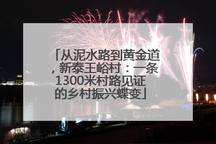 从泥水路到黄金道，新泰王峪村：一条1300米村路见证的乡村振兴蝶变