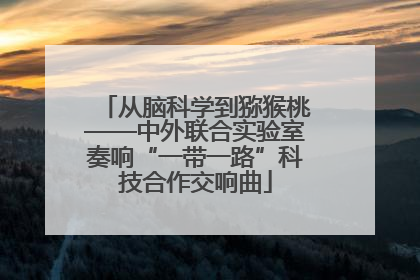 从脑科学到猕猴桃——中外联合实验室奏响“一带一路”科技合作交响曲