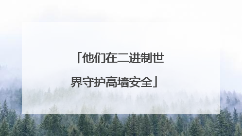 他们在二进制世界守护高墙安全