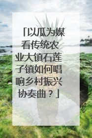 以瓜为媒 看传统农业大镇石莲子镇如何唱响乡村振兴协奏曲？