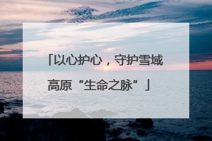 以心护心，守护雪域高原“生命之脉”