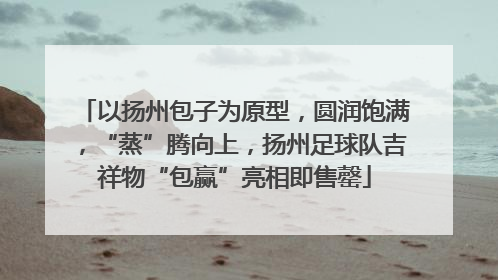 以扬州包子为原型，圆润饱满，“蒸”腾向上，扬州足球队吉祥物“包赢”亮相即售罄