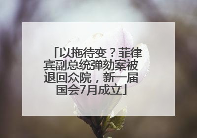 以拖待变？菲律宾副总统弹劾案被退回众院，新一届国会7月成立