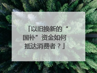 以旧换新的“国补”资金如何抵达消费者？