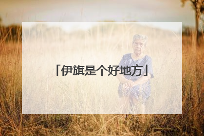 伊旗是个好地方