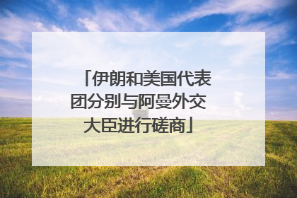 伊朗和美国代表团分别与阿曼外交大臣进行磋商