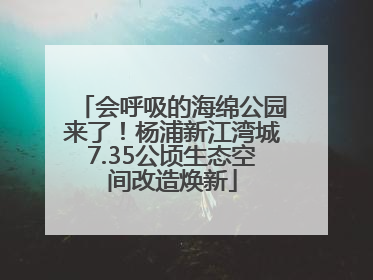 会呼吸的海绵公园来了！杨浦新江湾城7.35公顷生态空间改造焕新