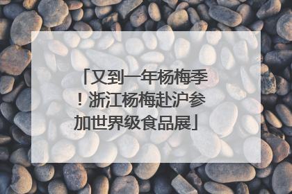 又到一年杨梅季！浙江杨梅赴沪参加世界级食品展