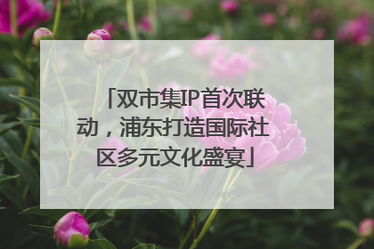 双市集IP首次联动，浦东打造国际社区多元文化盛宴