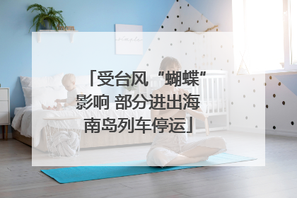 受台风“蝴蝶”影响 部分进出海南岛列车停运