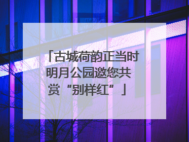 古城荷韵正当时 明月公园邀您共赏“别样红”