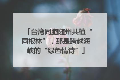 台湾同胞随州共植“同根林”，那是跨越海峡的“绿色情诗”