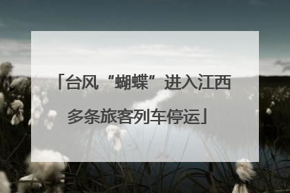 台风“蝴蝶”进入江西 多条旅客列车停运