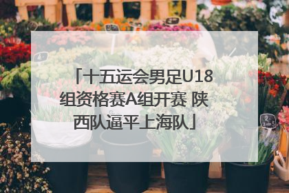 十五运会男足U18组资格赛A组开赛 陕西队逼平上海队