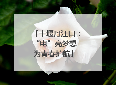 十堰丹江口：“电”亮梦想 为青春护航