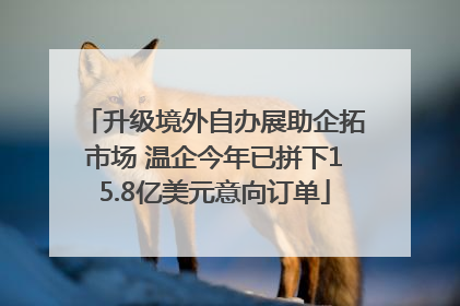 升级境外自办展助企拓市场 温企今年已拼下15.8亿美元意向订单