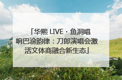 华熙 LIVE・鱼洞唱响巴渝韵律：刀郎演唱会激活文体商融合新生态