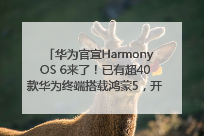 华为官宣HarmonyOS 6来了！已有超40款华为终端搭载鸿蒙5，开发者突破800万
