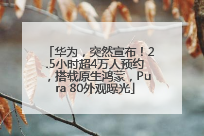 华为，突然宣布！2.5小时超4万人预约，搭载原生鸿蒙，Pura 80外观曝光