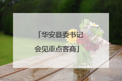 华安县委书记会见重点客商